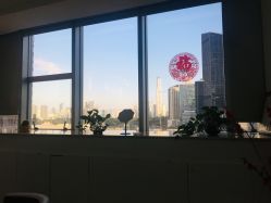 -瑞尼丝国际专业脱毛连锁