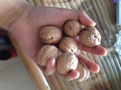 iphone_upload_pic-加顺农场餐厅