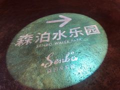 -杭州开元森泊度假乐园