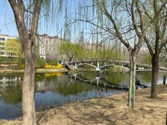 -马家湾湿地公园