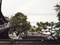-豫园