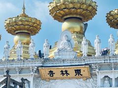 -上海东林寺(金山区)