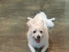 -绿房子方寸咖啡(星海名城店)