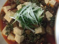 -常州环球恐龙城维景国际大酒店
