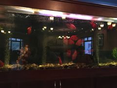 -蓝枪鱼西餐厅(锦华店)