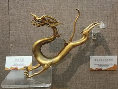 -烟台自然博物馆