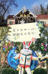 -酷酷兔少儿拓展天地