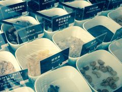-JW德国冻酸奶Frozen Yogurt(龙湖成都滨江天街店)