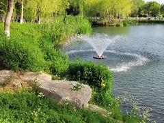 -东台西溪天仙缘景区
