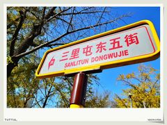 -三里屯东五街银杏大道
