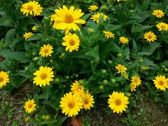 -贵阳市花溪国家城市湿地公园