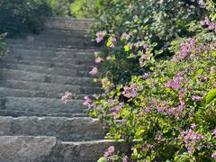 -北京西山国家森林公园