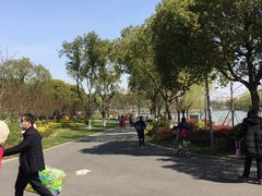 -昆山城市生态森林公园