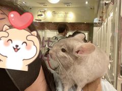 -龙猫仔乐园(惠福东路店)