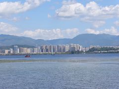 -洱海月湿地公园