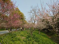 -上海海湾国家森林公园