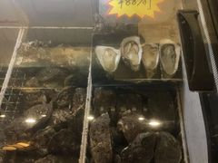 -蚝抵食·湛江生蚝(湾北路店)