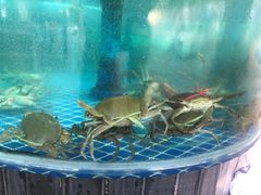 -吉源大排档·鱼生·海鲜(烧烤彩印厂店)