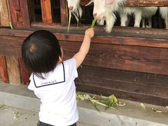 -乌村
