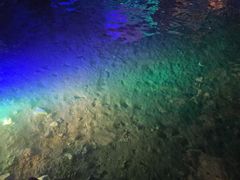 -灵栖洞天