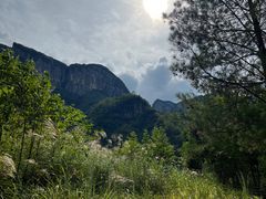 -鹿院坪生态旅游景区