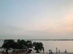 -宝安西湾红树林湿地公园