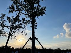 -上海海湾国家森林公园