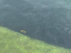 -亚龙湾海底世界