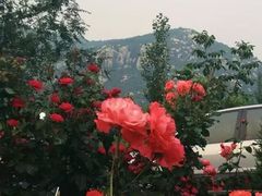 -禅宗少林·音乐大典