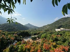 -广州市石门国家森林公园