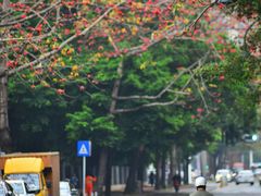 -景田北六街公园宠物主题园