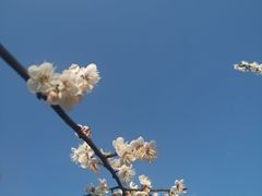 -广州市流溪河国家森林公园