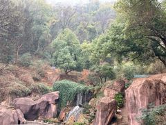 -黄兴南路步行商业街