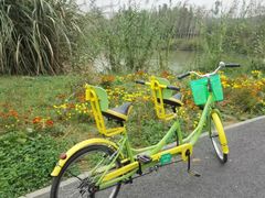 -白鹭湾湿地公园