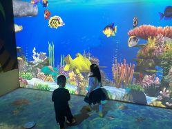 -超级奈尔宝SUPER NEOBIO(杭州星光店)