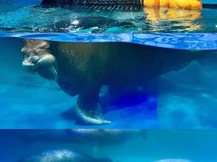-正佳极地海洋世界