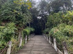 -铁山坪森林公园