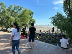 -宝安西湾红树林湿地公园