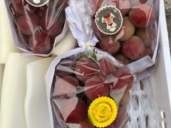 -马陆小张葡萄园农家乐