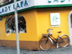 -LADY FAFA(巨鹿路陕西南路路口店)