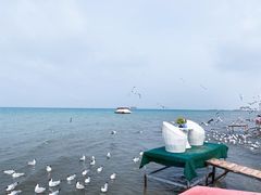 -青海湖国家重点风景名胜区