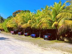 -兴隆槟榔园休闲农庄