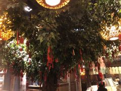-南京大牌档(三阳广场苏宁店)