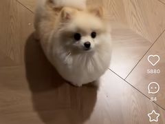 -争鲜回转寿司(太阳宫凯德MALL店)