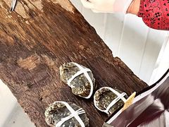 -阳澄湖大闸蟹·琼灵阁牌品牌连锁(吴中总店)