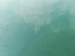 -广州市流溪河国家森林公园