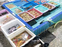 -霞涌市场海鲜摆卖区