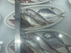 -拉完海鲜大排档(温岭店)