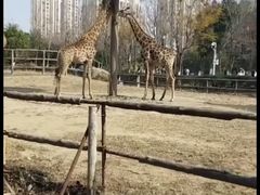 -南昌动物园