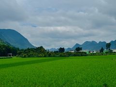 -万峰林风景区